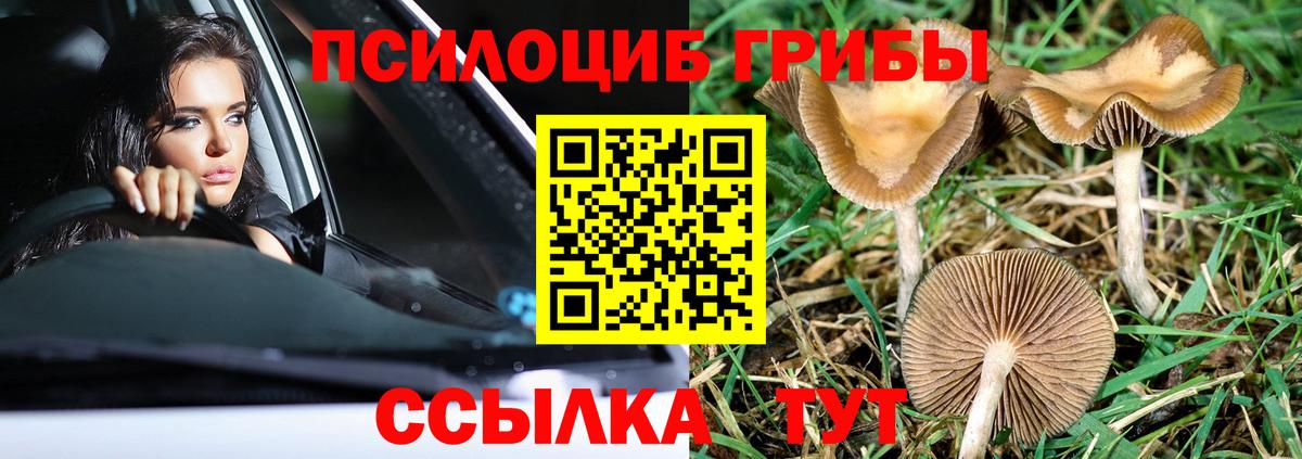 Псилоцибиновые грибы прущие грибы  Вход с VPN  Краснокаменск  Псилоцибиновые грибы Magic Shrooms 